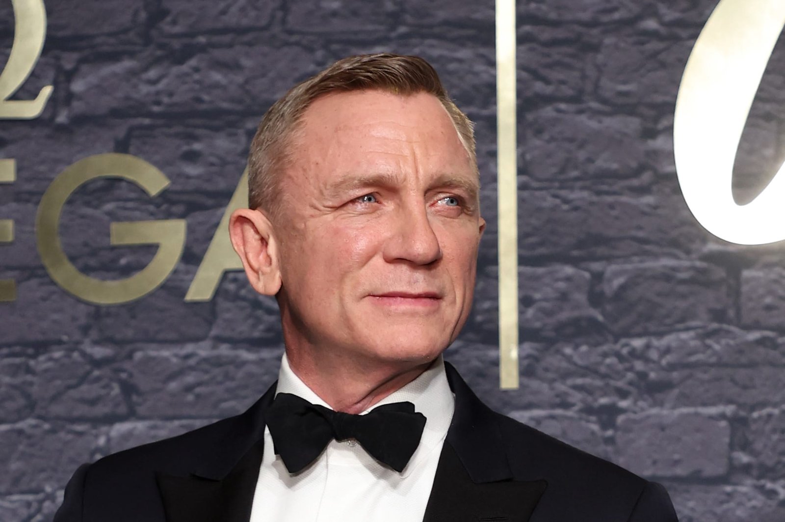 daniel craig net worth
